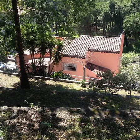 Margherita * Maratea
