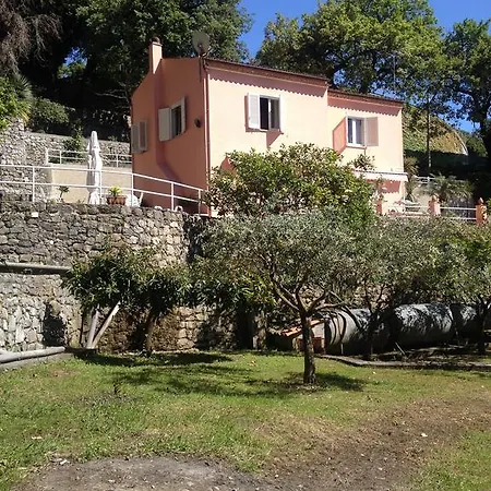 Margherita Maratea